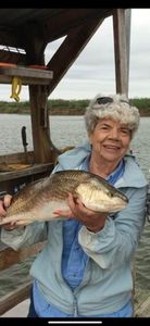 One 14-inch fish caught while fishing in Arroyo City