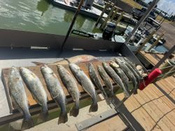 Three spotted weakfish caught in Arroyo City