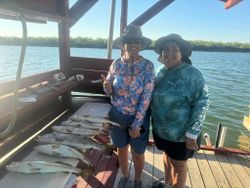 Two spotted weakfish, 23 inches in size, caught while fishing in TX