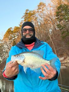 Freshly caught crappie displayed after successful fishing trip in Cumming GA