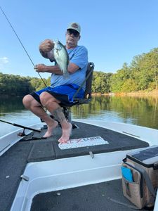 Freshly caught crappie displayed on fishing boat in Cumming GA lake