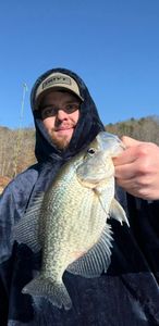 Freshly caught crappie being held up after successful fishing trip in Cumming GA