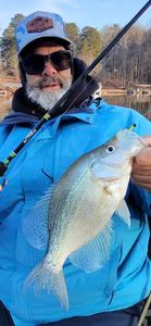 Freshly caught crappie held up after successful fishing trip in Cumming GA