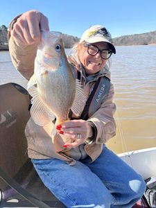 Angler holding freshly caught crappie on boat in Cumming GA lake