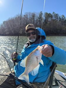 Freshly caught crappie being held on fishing boat in Cumming GA with fishing rod and net visible