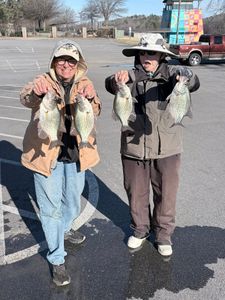 Four crappie fish displayed after successful fishing trip in Cumming GA
