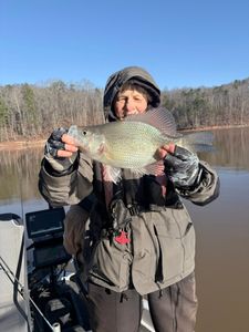 Angler holding freshly caught fish on boat at lake in Cumming GA