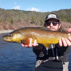 Sacramento River Fishing Bliss