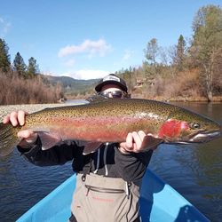 Best Catches in Sacramento