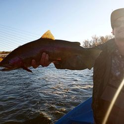 The Sacramento Fishing Scene