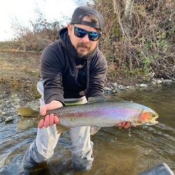 Fisherman's Paradise in Redding