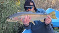 Fish On!