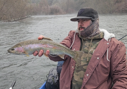 Angler catching a rainbow trout in California