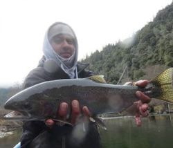 Chinook salmon, 28-inch fishing catch in Redding