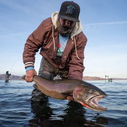 Lone angler fishing in Redding