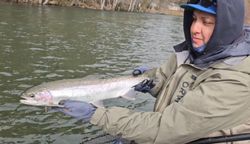 A majestic rainbow trout caught during a fishing trip in California
