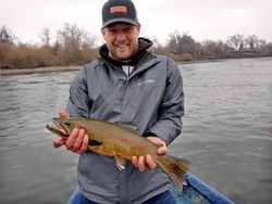 Angler catches a beautiful rainbow trout in Redding