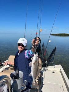 Atlantic Croaker fishing in FL