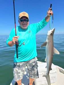 Blacktip shark caught in Crystal River