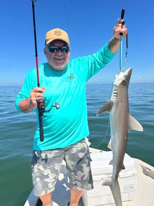 Blacktip Shark caught while fishing in Crystal River
