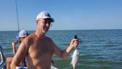 A crevalle jack fish caught in the waters of Crystal River