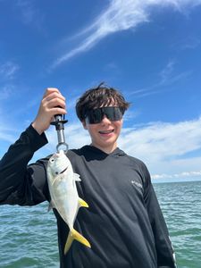 Crevalle Jack fish caught while fishing in Crystal River