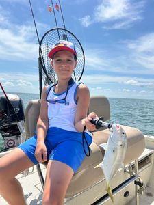 Crevalle Jack, 16-inch fish caught while fishing in FL