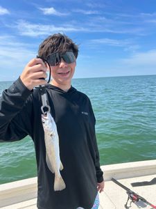 Successful fishing trip in FL
