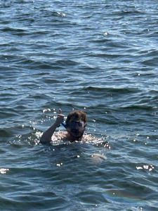 Exciting Gulf snorkeling adventure