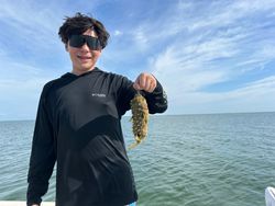 A person fishing in Crystal River