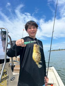 Angler holding a fishing rod in Crystal River