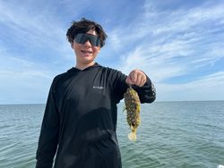 Exciting fishing adventure in FL