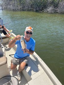 A single grass carp caught while fishing in FL