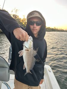 Redfish caught while fishing in FL
