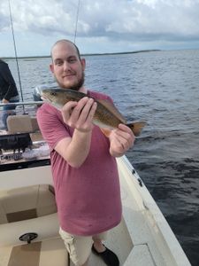 Redfish caught in Crystal River