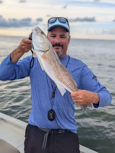 Redfish caught in Crystal River