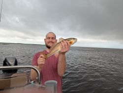 Redfish caught while fishing in Crystal River