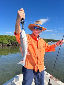 Redfish caught on cruises and fishing trip in FL