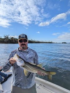 Snook fishing in FL