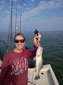 Spotted Weakfish caught while fishing in FL