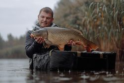 Angler with common carp in New York
