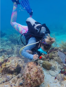 Scuba diver exploring coral reef underwater with diving equipment