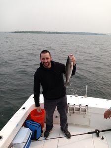 Striped Bass: Thrilling Battle Ensues
