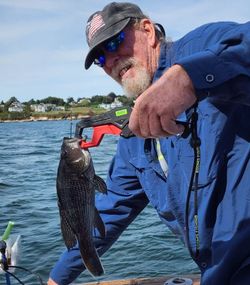 A fisherman catches a sea bass in Warwick