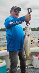 Angler fishing in Warwick