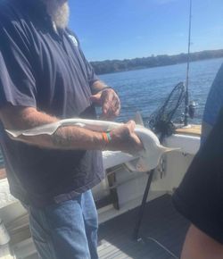 Breathtaking scenic view of Rhode Island