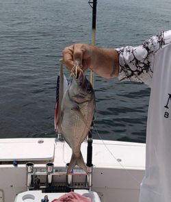 Reeling in Ocean Treasures