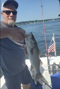 Striped bass caught fishing in RI