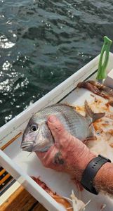 A fishing trip in Warwick