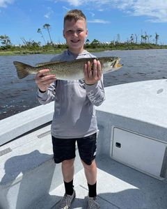 Orange Beach, AL Trout Hooke by a Kid